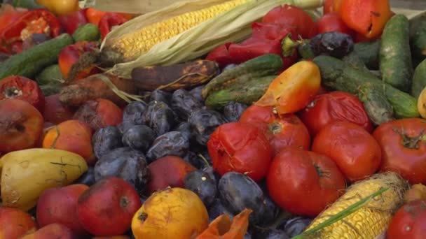 Desperdicio Verduras Podridas Frutas Pérdidas Explotación Comercio Por Menor Productos — Vídeo de stock
