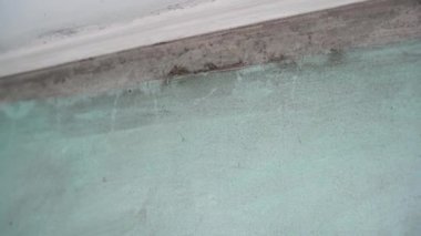 Black mold on walls. Mold in house. The growth of black toxic mold, humidity and dampness in the living room. High quality 4k footage