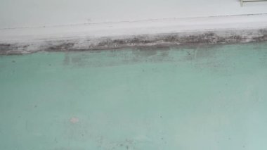 Black mold on walls. Mold in house. The growth of black toxic mold, humidity and dampness in the living room