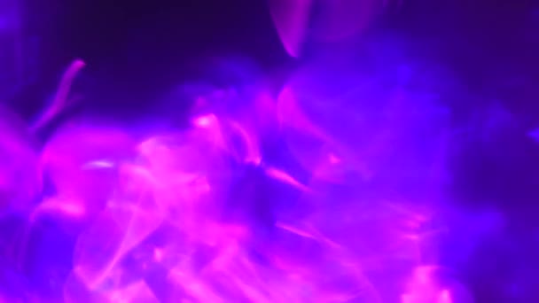 Prisma Neon Luce Brillamenti Sovrapposizione Sfondo Nero Sfocato Filmati Alta — Video Stock