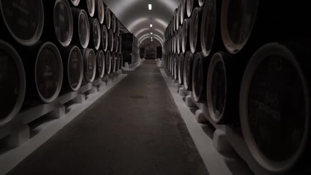 倉庫の樽積み上げ 貯蔵室内の列に座っている木製のオークウイスキー ワインまたはビール樽 高品質4K映像 — ストック動画