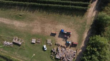 Tam Hasat Kutuları. Meyve bahçesi ve çiftlik, hasat. Kamyon çekilen konteynırlar. Hava aracı üst görüntü videosu. Yüksek kalite 4k görüntü