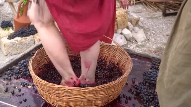 Tânără Greacă Zdrobește Strugurii Picioarele Grape Foot Stomp Treading Tradițional — Videoclip de stoc