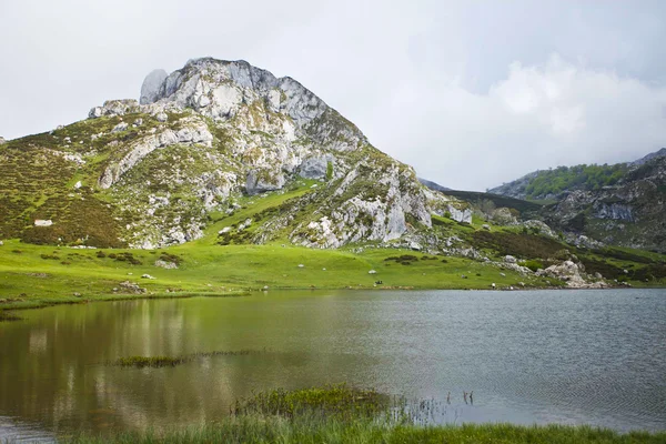 风景 — 图库照片