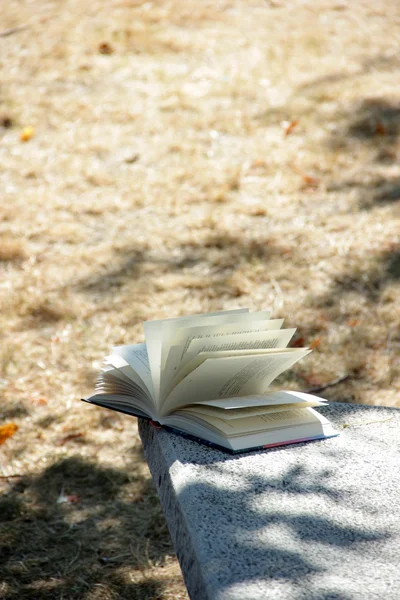 Book on the bench — Stock Photo, Image