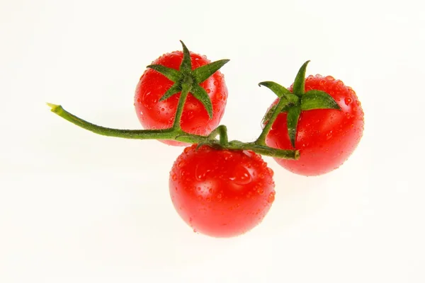 Tomatoes — Stock Photo, Image