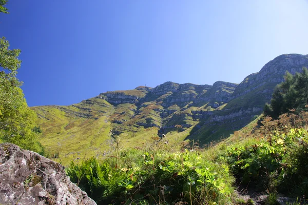 Berglandschap — Stockfoto