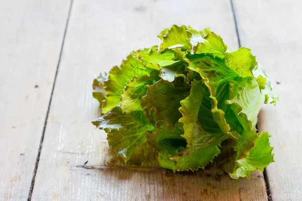 Lechuga — Foto de Stock