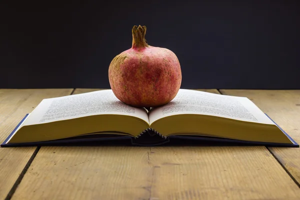 Libro con una granada — Foto de Stock