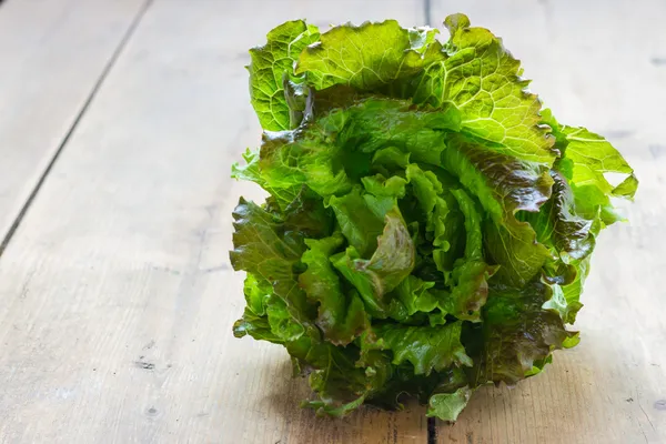 En sallad — Stockfoto