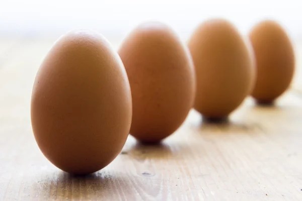 Eggs — Stock Photo, Image