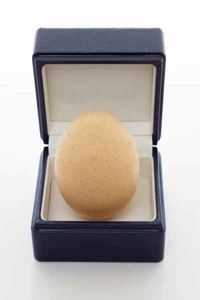 Egg Dar — Zdjęcie stockowe
