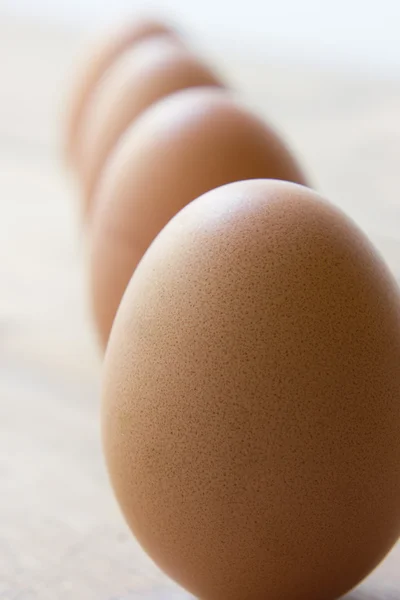 Egg closeup — Stock Photo, Image