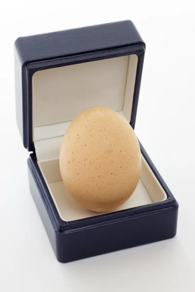 Presente de ovo — Fotografia de Stock