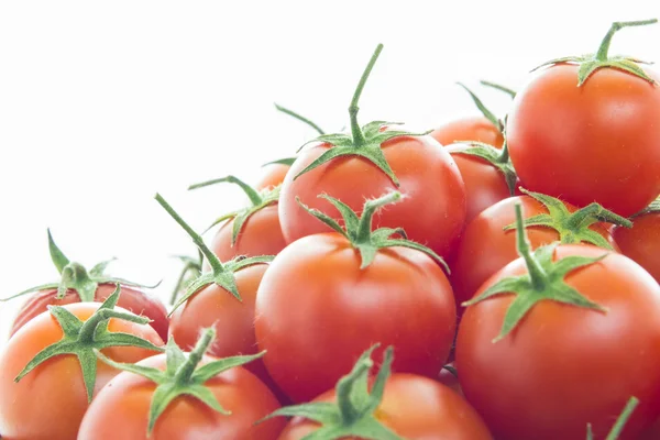 Tomatoes — Stock Photo, Image