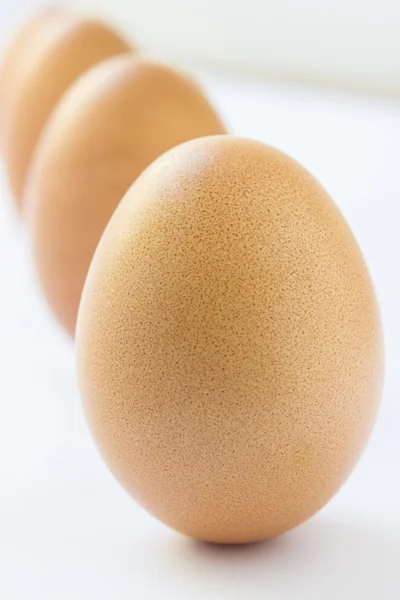 Eggs — Stock Photo, Image