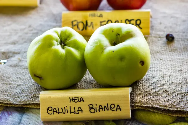 Äpfel — Stockfoto