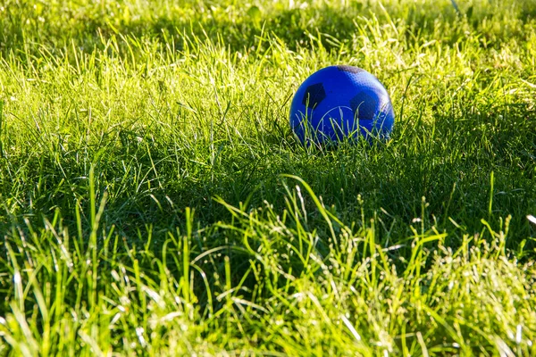 Мяч в траве — стоковое фото