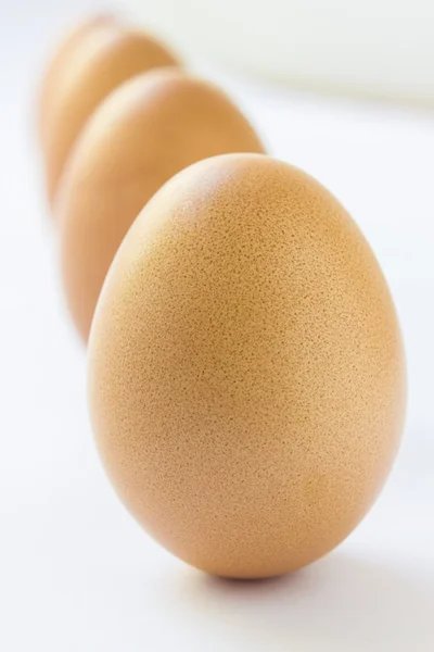 Eggs — Stock Photo, Image