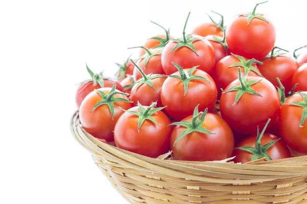 Tomatoes — Stock Photo, Image