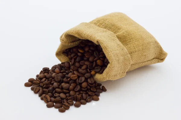 Coffee beans — Stock Photo, Image