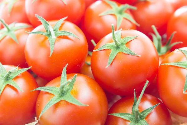 Tomatoes — Stock Photo, Image