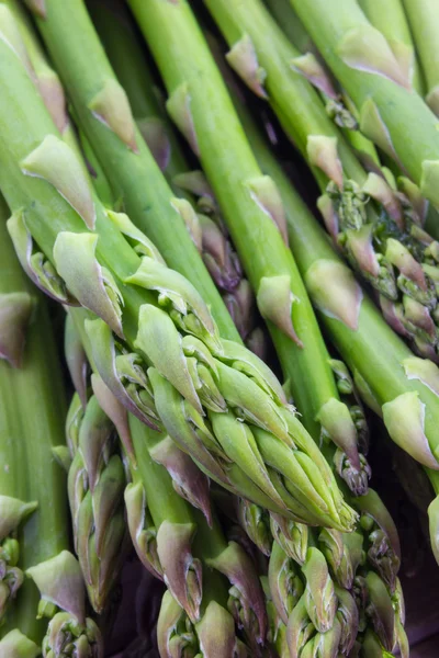 Asparagus — Stock Photo, Image