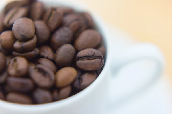 Coffee beans — Stock Photo, Image