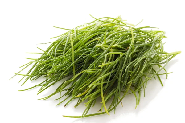 Agretti — Stockfoto