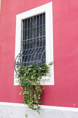 Demir çubukları Windows