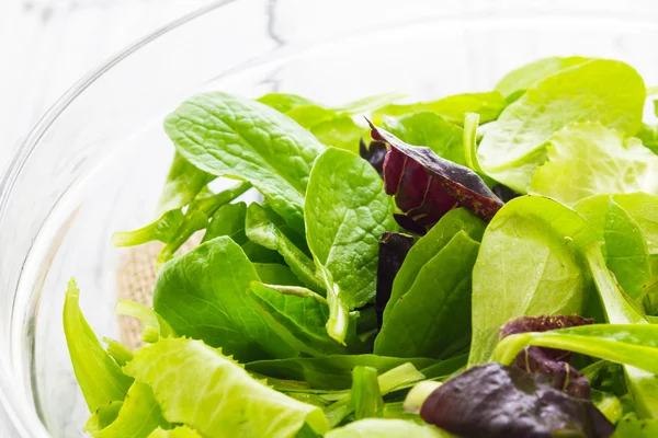 Grüner Salat — Stockfoto