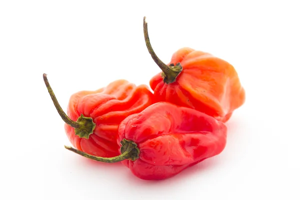 Pimenta Habanero — Fotografia de Stock