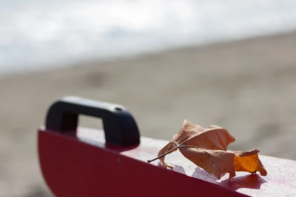 Herfst op het strand — Stockfoto