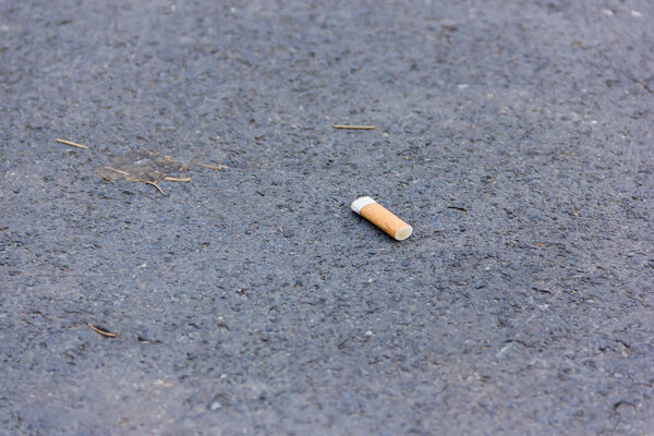 Сигаретная задница
