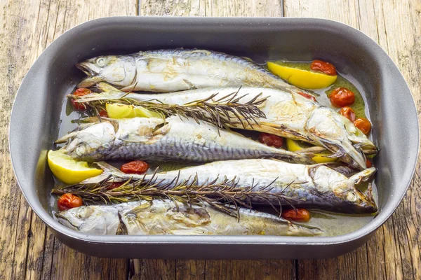 Mackerel baked with tomatoes — Stock Photo, Image