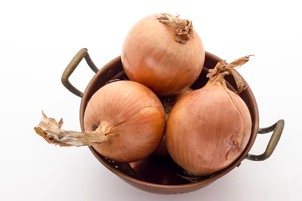 Onions — Stock Photo, Image