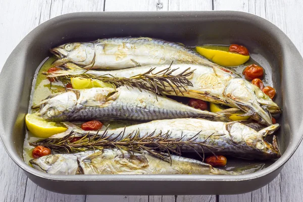 Mackerel baked with tomatoes — Stock Photo, Image