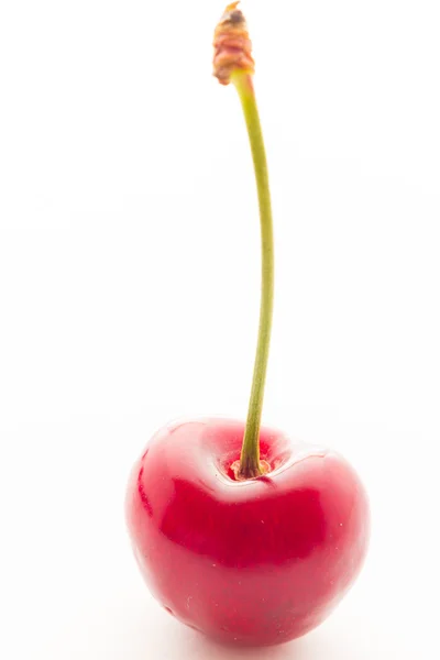 Dojrzałe jagody czereśni — Zdjęcie stockowe