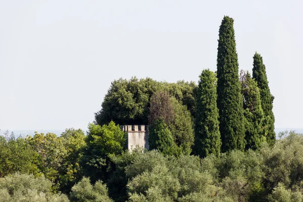 Turm in den Bäumen — Stockfoto