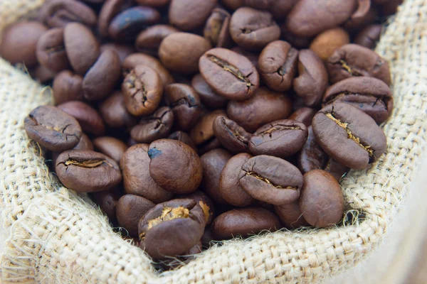 Coffee beans — Stock Photo, Image