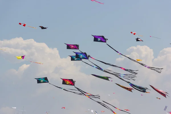 Kite festival — Stockfoto