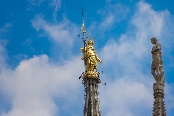 Duomo milano — Stock Photo, Image