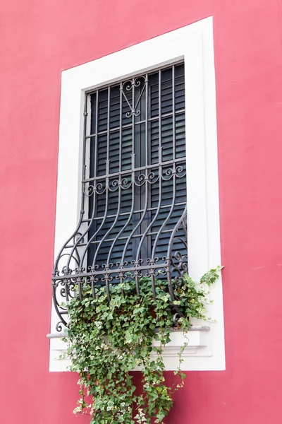 Okna s železnými tyčemi — Stock fotografie