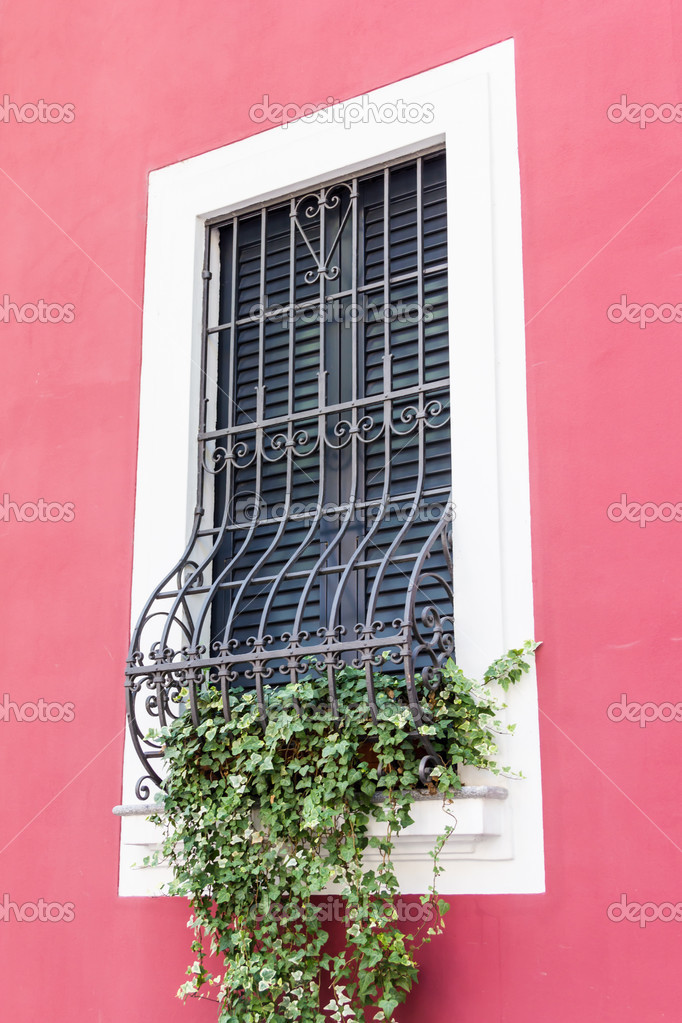 Windows with iron bars 