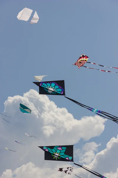 Kite festival — Stock Photo, Image