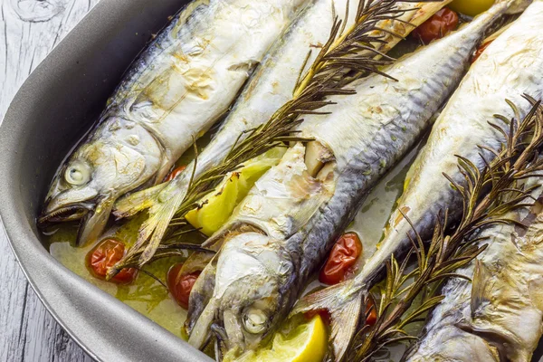 Mackerel baked with tomatoes — Stock Photo, Image