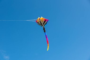 Gökyüzünde uçuşan renkli uçurtmalar