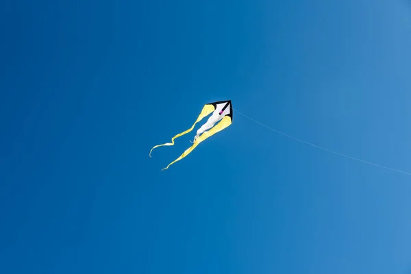 Kites Coloridos Voando Sobre Céu — Fotografia de Stock