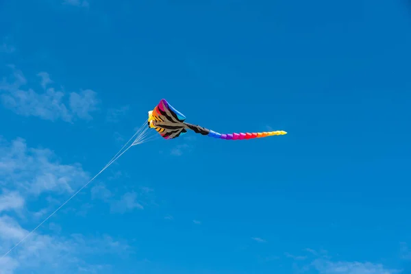 Kleurrijke Vliegers Vliegen Lucht — Stockfoto