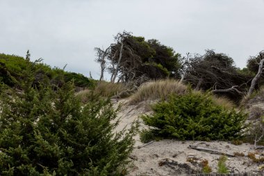 Torre dell 'orso Puglia İki kız kardeş
